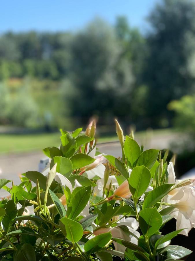 ארצו Cameracaffe Sul Lago מראה חיצוני תמונה